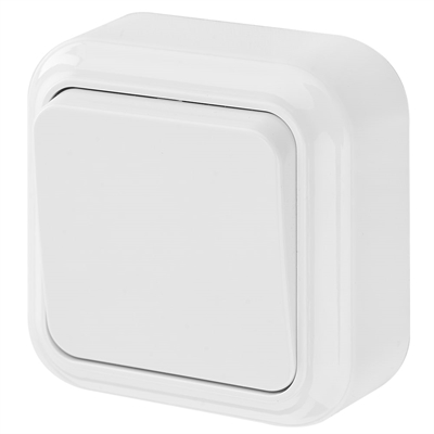 Выкл. 1кл. ОУ ПРАЛЕСКА белый  А16-131