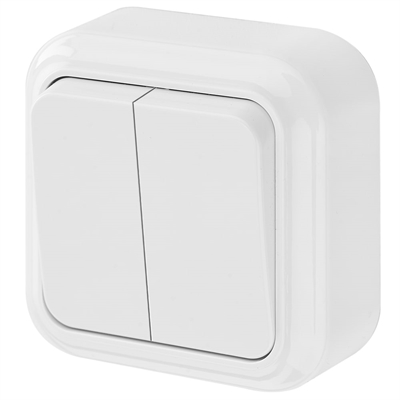Выкл. 2кл. ОУ ПРАЛЕСКА белый  А56-134