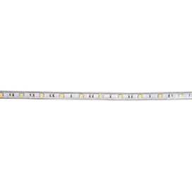 LED лента 10м 14,4W/m 220V IP68 60LED/m красная Ecola... S10R14ESB