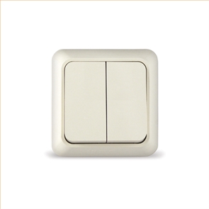 Выкл. 2кл о/у беж. 