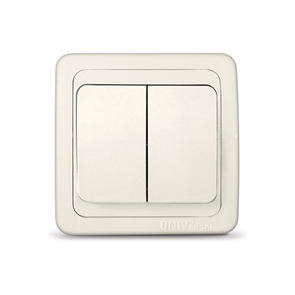 Выкл. 2кл с/у сл. кость 