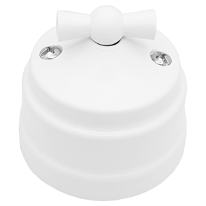 {{photo.Alt || photo.Description || 'Выкл. 1-кл. поворотный проходной (10А) ОУ серия РЕТРО, белый (А610-2296)'}}