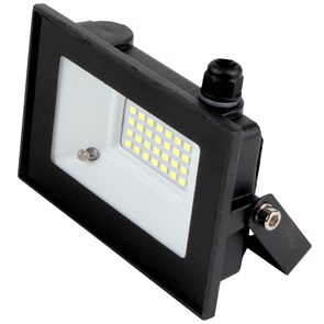 Прожектор LED 30W с дат.движ.  6500  IP65 General... 403600