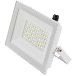 Прожектор LED 70W 6500  IP65  белый General... 403128