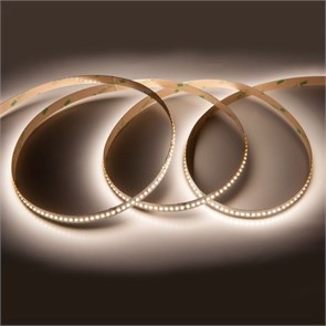 Лента светодиодная GLS-2835-240-19.2-12-IP20-4 501250 501250