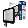 Прожектор LED 100W IFLSLED-DOB-ДД-865-BL-IP65 с инфракрасным датчиком движения  IONICH 1495 1495