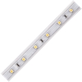 Ecola LED strip 220V STD  4,8W/m IP68 12x7 60Led/m 4200K 4Lm/LED 240Lm/m лента  10м.  [S10V05ESB.] S10V05ESB