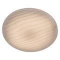 Свет. GSMCL Smart96 96w Wawe 550*450*70пульт General... 800309 - фото 6054