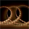 Лента светодиодная GLS-5050-60-14.4-12-IP65-RGB 5039 General 5039 - фото 6683