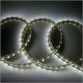 Лента светодиодная GLS-5730-60-12-220-IP67-6 катушка 50м 504716 General 504716 - фото 6689