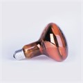 ИКЗК-100  (Е27/48/зерк.красн.) Калашниково 8105043, 8105007 - фото 7760