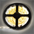 LED лента 5м 4,8W/m 12V IP20 8mm 4200К 60Led/m Ecola P2LV05ESB - фото 8000