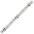 LED лента 5м 4,8W/m 12V IP65 8mm синяя 60Led/m Ecola P5LB05ESB - фото 8010